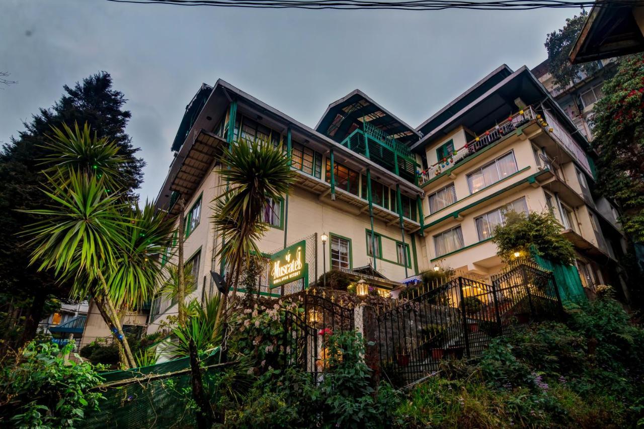 Muscatel Himalayan Resort - 400 Mts From Mall Road Dardżyling Zewnętrze zdjęcie