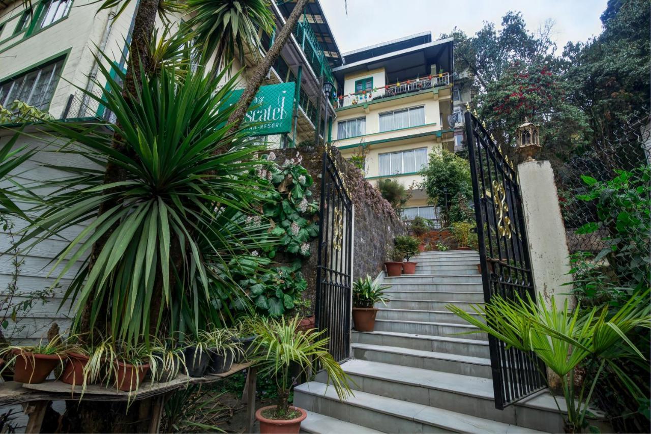 Muscatel Himalayan Resort - 400 Mts From Mall Road Dardżyling Zewnętrze zdjęcie