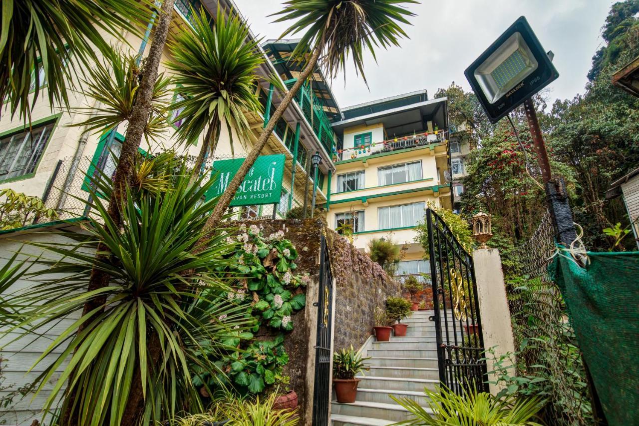 Muscatel Himalayan Resort - 400 Mts From Mall Road Dardżyling Zewnętrze zdjęcie